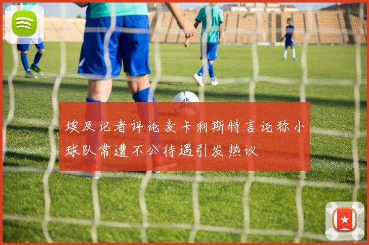 埃及记者评论麦卡利斯特言论称小球队常遭不公待遇引发热议